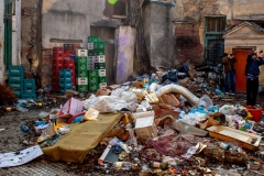 IMG_4221